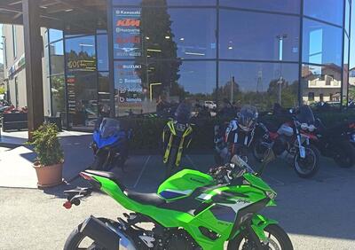 Kawasaki Ninja 500 SE (2024 - 26) - Annuncio 9831125