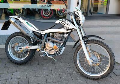 Betamotor Alp 4.0 (2008 - 17) - Annuncio 9982514