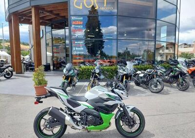 Kawasaki Z7 Hybrid (2024 - 26) - Annuncio 9791378
