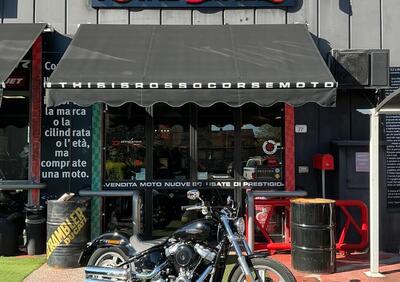 Harley-Davidson Softail Standard (2020) - FXST - Annuncio 9983391