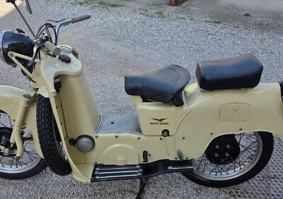 Moto Guzzi GALLETTO  - Annuncio 9983442