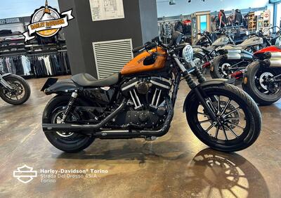 Harley-Davidson 883 Iron (2014 - 16) - XL 883N - Annuncio 9983968
