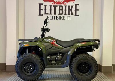 Loncin XWOLF 300 (2025 - 26) - Annuncio 9925577