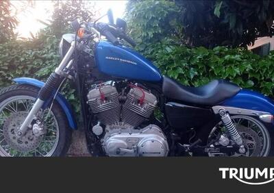 Harley-Davidson 883 Low (2008 - 12) - XL 883L - Annuncio 9988002