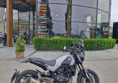 Benelli Leoncino 500 ABS (2017 - 20) - Annuncio 9989228