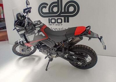 Ducati DesertX (2022 - 25) - Annuncio 9746802
