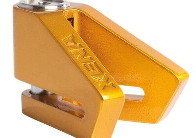 Bloccadisco Xena x2 in acciaio inox perno 14mm Oro - Annuncio 9772436