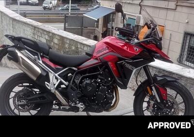 Triumph Tiger 900 GT Pro (2024 - 26) - Annuncio 9949645