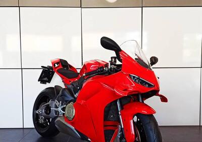 Ducati Panigale V4 (2025 - 26) - Annuncio 9990360