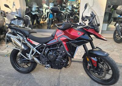 Triumph Tiger 900 GT (2024 - 26) - Annuncio 9991150