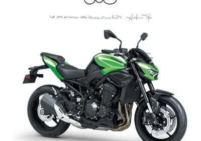 Kawasaki Z 900 (2025 - 26) - Annuncio 9994022