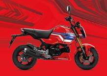 Honda GROM 2026: nuova colorazione per la MSX125 pensata per il paddock, piace per l’uso urbano