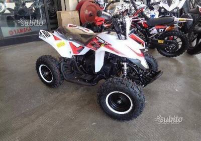  Altre moto o tipologie Quad - Annuncio 6646152