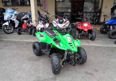  Altre moto o tipologie Quad - Annuncio 6652944