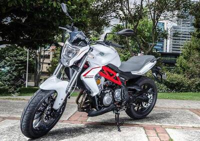 Benelli BN 302 (2014 - 16) - Annuncio 6703343